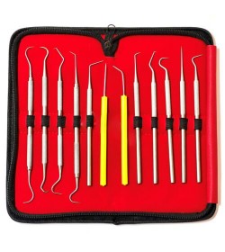 12 Pcs Dental Probes Set